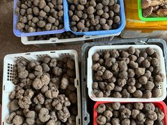 -云南木水花野生菌交易中心