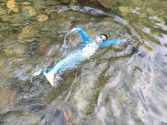 -宁波五龙潭景区