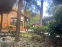 -明月山天沐温泉度假村