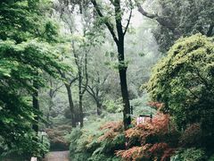 -岳麓山风景名胜区