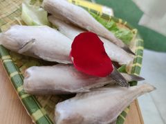 -天台月光帐篷火锅(合能锦城店)