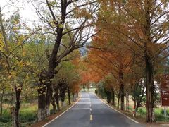 -塔川景区