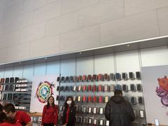 -Apple零售店(华贸购物中心店)