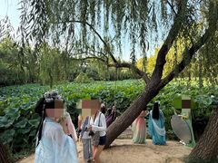 -洛阳市隋唐城遗址植物园