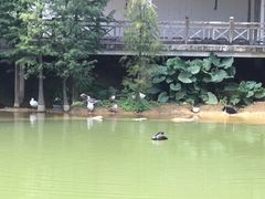 -广州市帽峰山景区