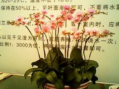 android_upload_pic-西部兰花园生态园