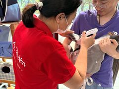 -久久宠物(河东万达店)