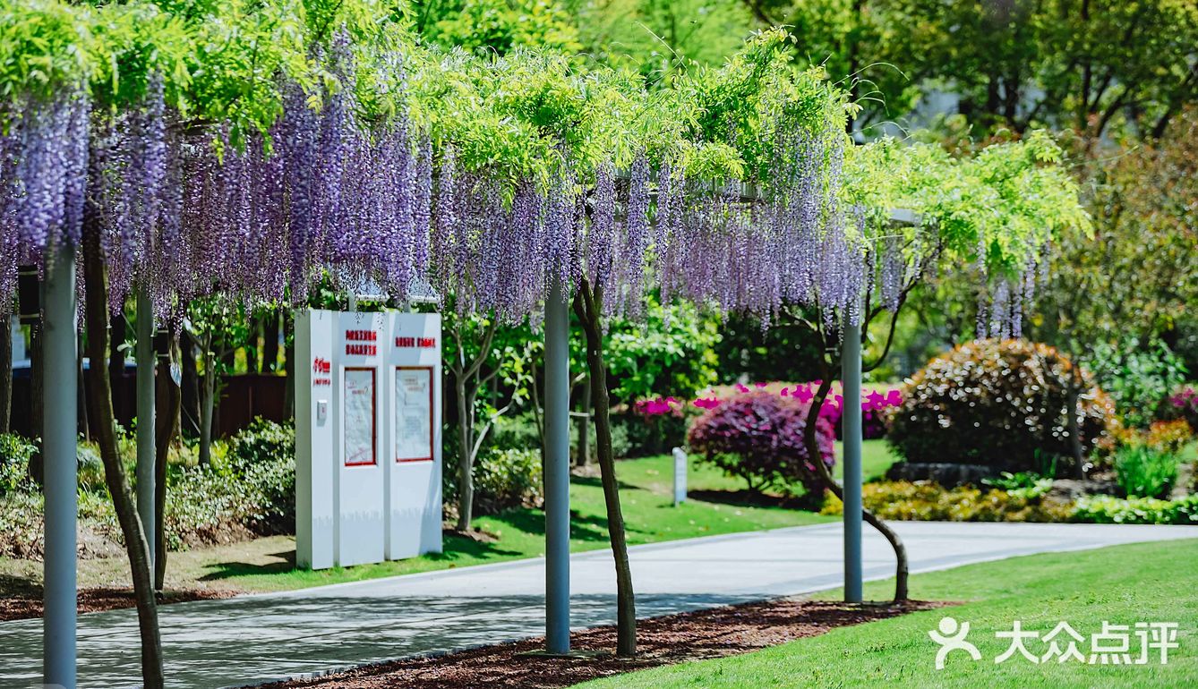 紫藤廊下的星巴克