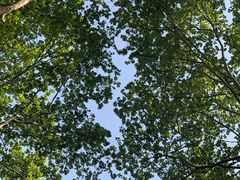 -TPLUS茶家(淮海店)