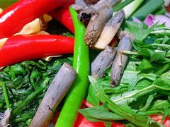 -来哥菜馆·大厨烹小鲜