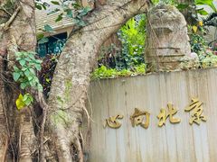 -西双版纳原始森林公园