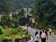 -十八棵（老龙井）御茶园(老龙井店)