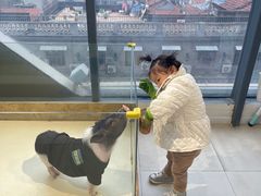 -怪兽屋·羊驼·猫咖·狗咖(俊华广场店)