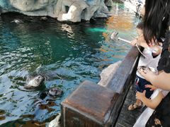 -华夏文旅海洋公园