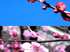 -云间粮仓