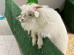 -北京华联合肥长江西路购物中心