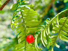 -东天目山风景区