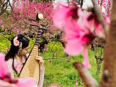 -南汇桃花村