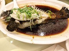 -益利大酒楼(井岸店)