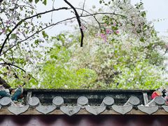 -深圳国际园林花卉博览园