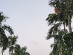 -万绿园