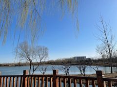 -东郊湿地公园