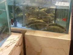 android_upload_pic-旺顺阁海鲜广场(亚运村店)