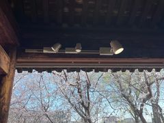 -春风习习