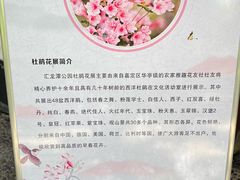-汇龙潭