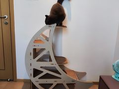 -联合动物医院(光谷诊疗中心)