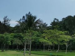 -野狸岛