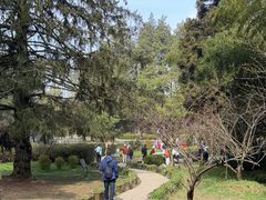 -庐山风景区花径公园