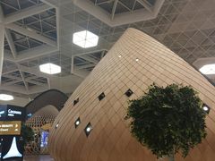-盖达尔·阿利耶夫国际机场