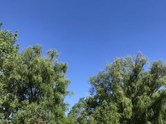 -青城公园