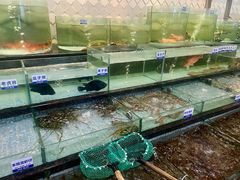 -新海利海鲜城·41年珠海老字号(夏湾店)