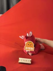 -玛瑞莎孕婴童摄影到家拍