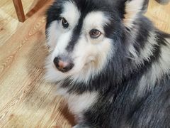 -白兔子密室(长寿路店)