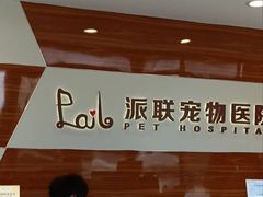 -派联宠物医院·24h·CT·异宠