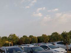 -上海欢乐谷-停车场