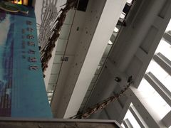 中国地质大学逸夫博物馆-中国地质大学逸夫博物馆