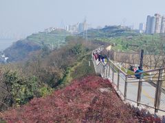 -重庆平顶山公园