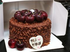 -莎琳娜食品有限公司·蛋糕店