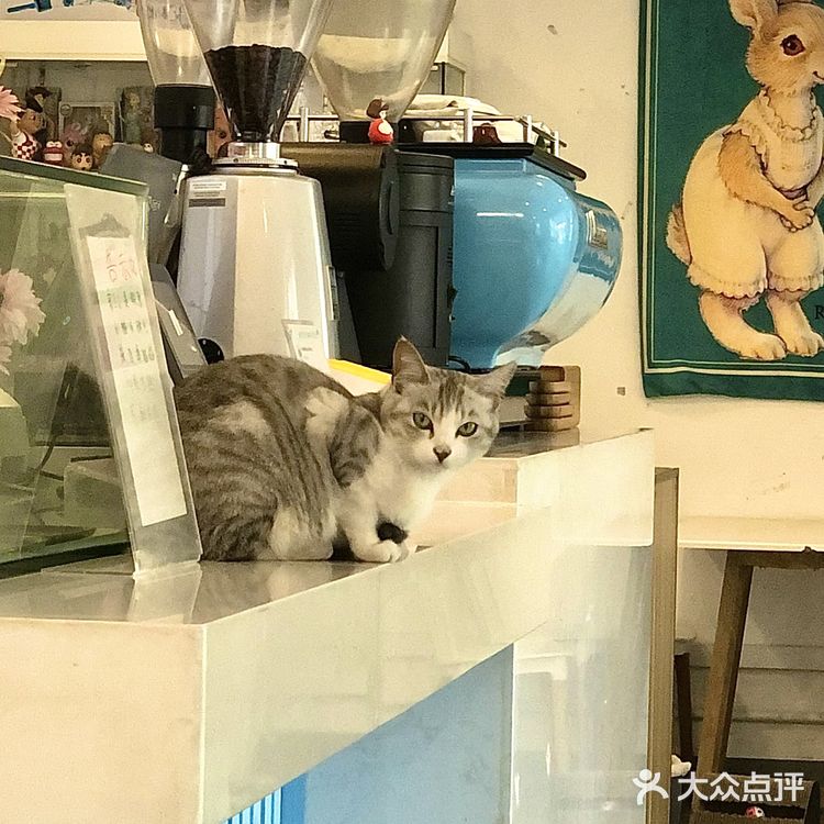 湛江探店/每天一早就爆单的店