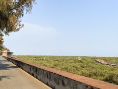 -北海金海湾红树林生态旅游区