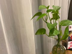 -乐港休闲馆茶艺·简餐·茶室(首都机场T2店)