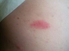 -屋顶顶城市·江景酒店-客房部