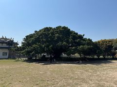 -江心屿景区