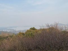 -香雪海