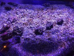 -波塞冬旅游度假区