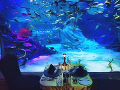 -沈阳海洋探索中心